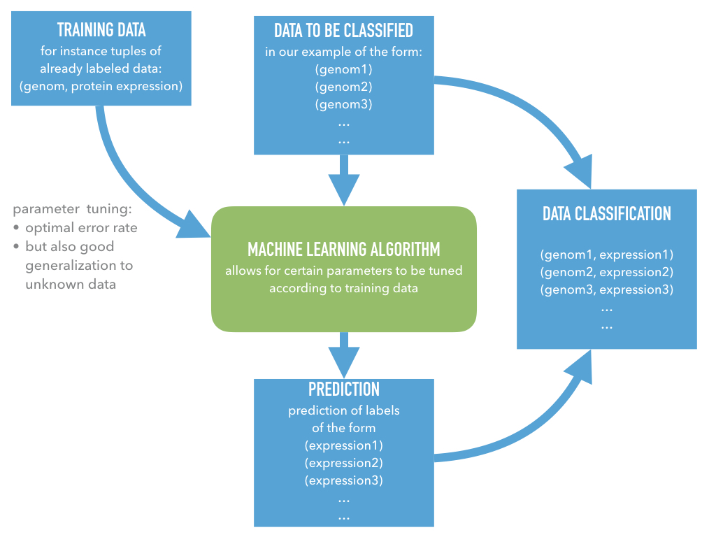 Scheme of supervised learning.