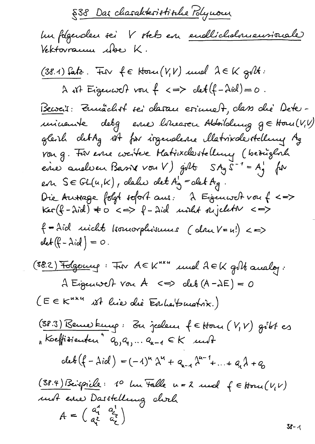 Das charakteristische Polynom; Seite 1