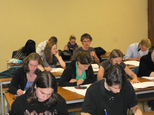 probestudium033
