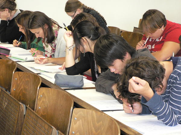 probestudium055